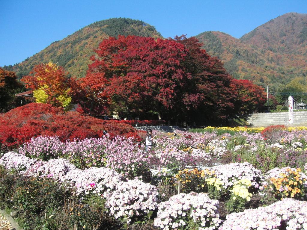 富士河口湖旅馆 2* 富士河口湖